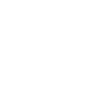 X-Ray