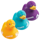 Bud Zodiac Luxury Duck